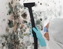  Mcgaheysville, VA Mold Removal & Remediation Pros